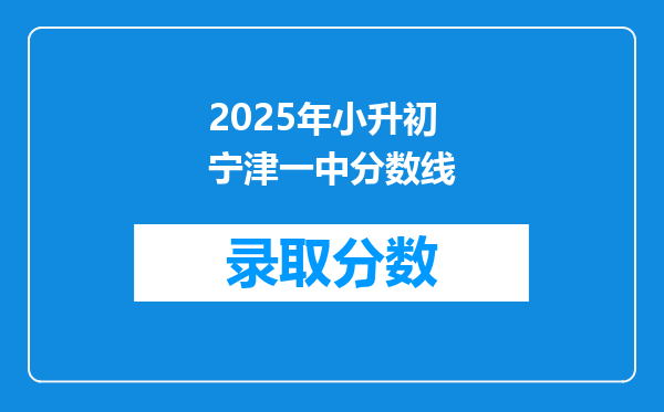 2025年小升初宁津一中分数线