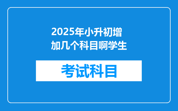 2025年小升初增加几个科目啊学生