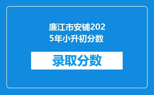 廉江市安铺2025年小升初分数