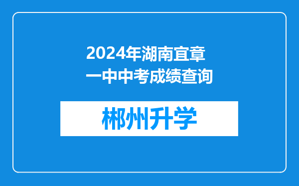 2024年湖南宜章一中中考成绩查询