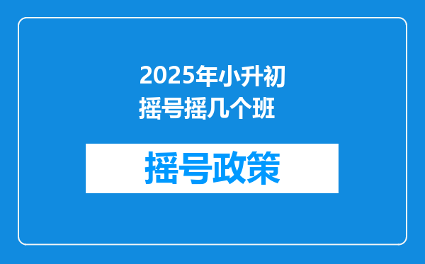 2025年小升初摇号摇几个班