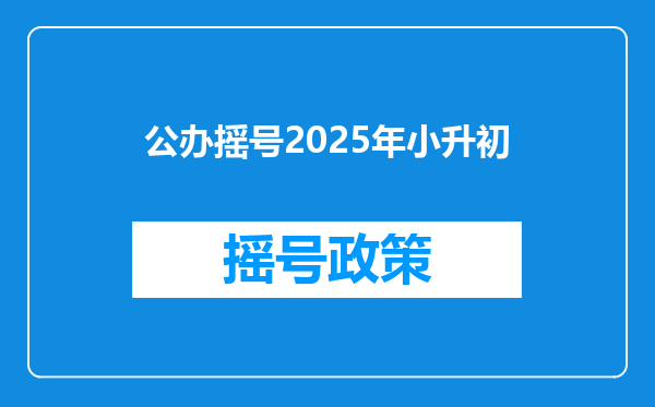 公办摇号2025年小升初