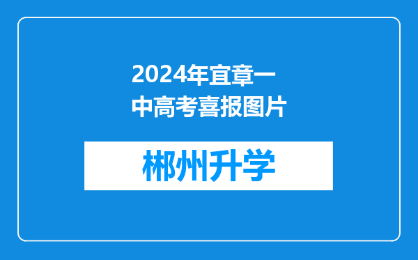 2024年宜章一中高考喜报图片