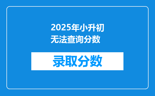 2025年小升初无法查询分数