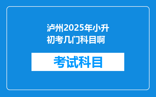 泸州2025年小升初考几门科目啊