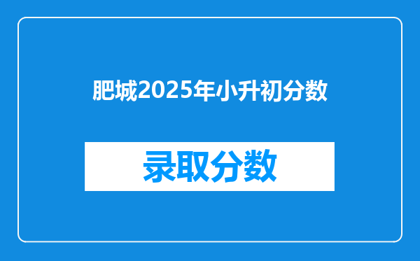 肥城2025年小升初分数