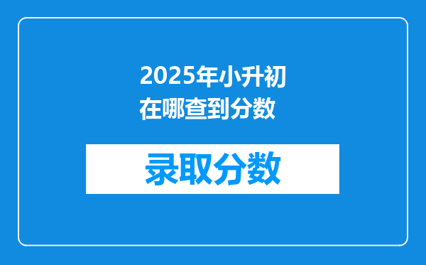 2025年小升初在哪查到分数