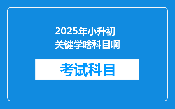 2025年小升初关键学啥科目啊