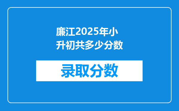 廉江2025年小升初共多少分数