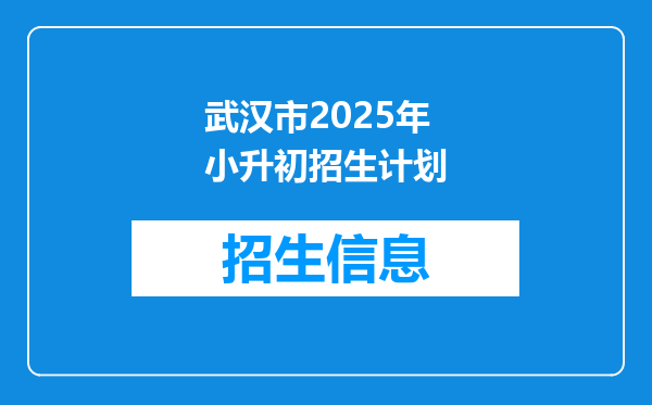 武汉市2025年小升初招生计划