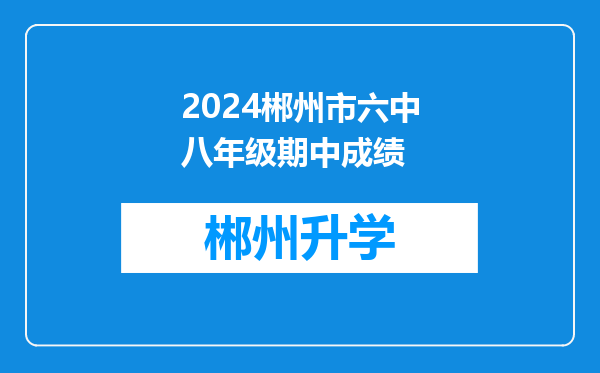 2024郴州市六中八年级期中成绩