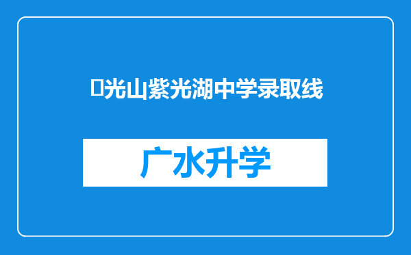 ‌光山紫光湖中学录取线