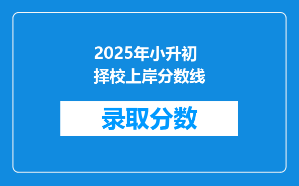 2025年小升初择校上岸分数线