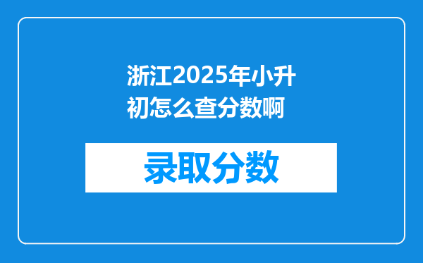 浙江2025年小升初怎么查分数啊