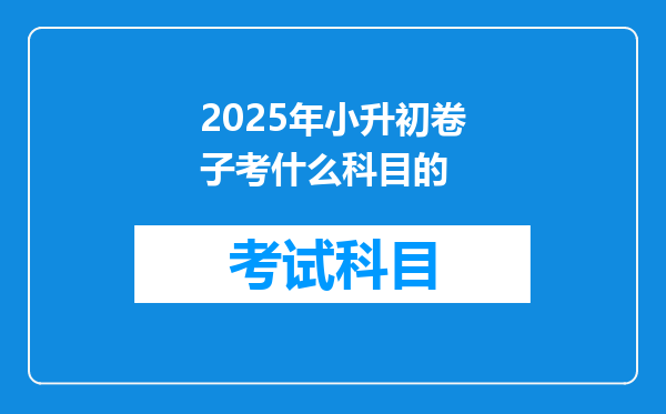 2025年小升初卷子考什么科目的