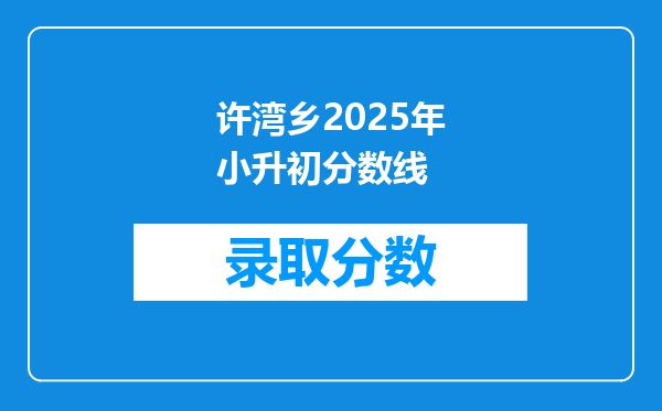 许湾乡2025年小升初分数线