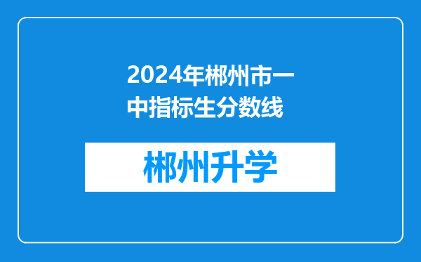 2024年郴州市一中指标生分数线