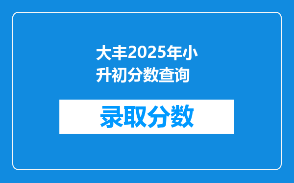 大丰2025年小升初分数查询