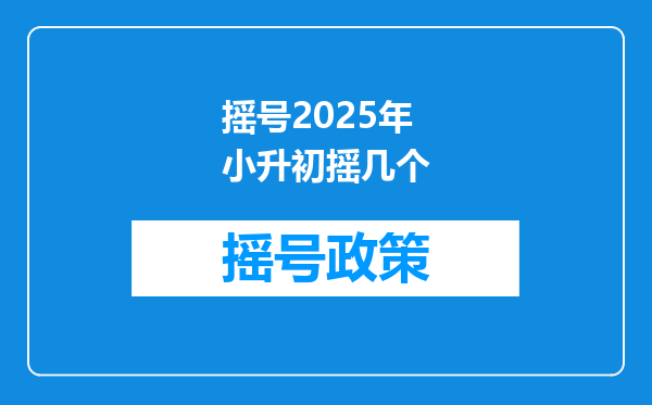 摇号2025年小升初摇几个