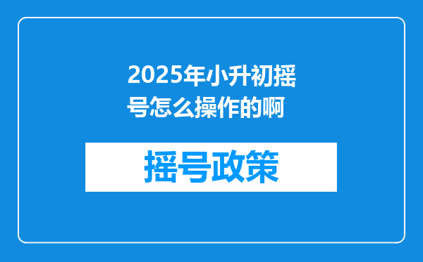 2025年小升初摇号怎么操作的啊