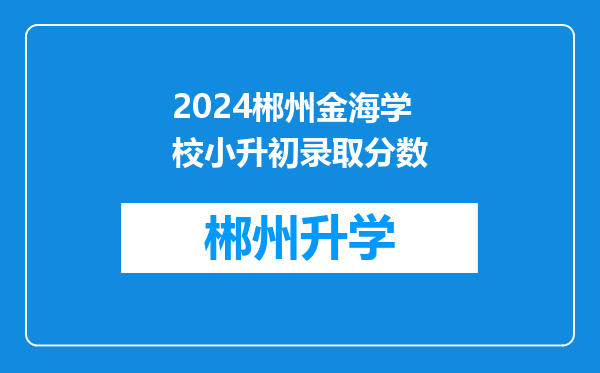 2024郴州金海学校小升初录取分数