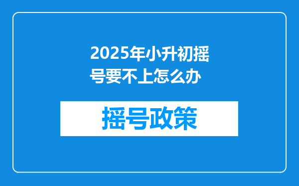 2025年小升初摇号要不上怎么办