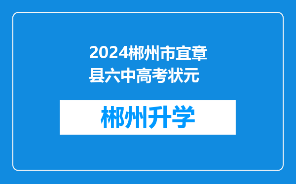 2024郴州市宜章县六中高考状元