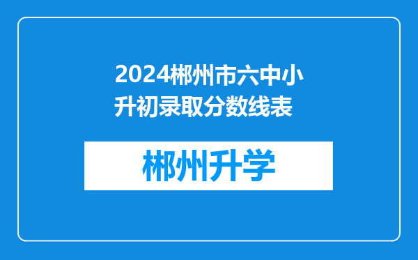 2024郴州市六中小升初录取分数线表