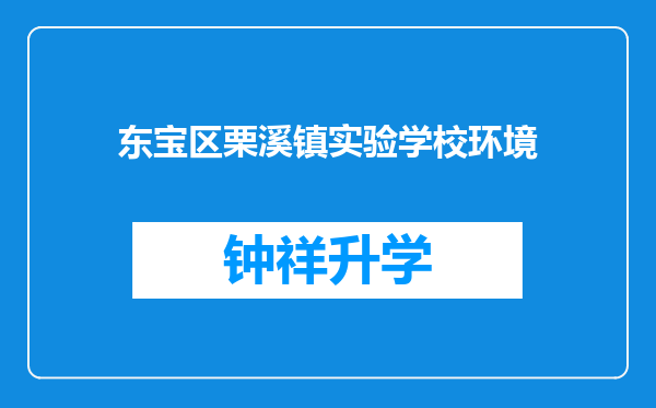 东宝区栗溪镇实验学校环境