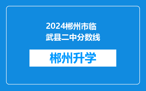 2024郴州市临武县二中分数线