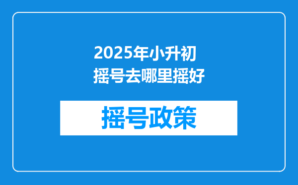 2025年小升初摇号去哪里摇好