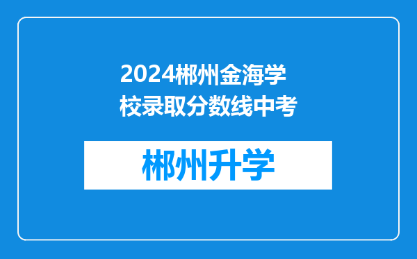 2024郴州金海学校录取分数线中考