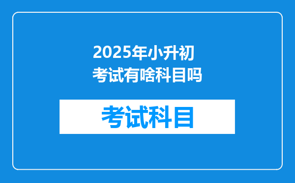 2025年小升初考试有啥科目吗