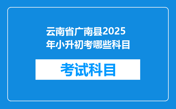 云南省广南县2025年小升初考哪些科目