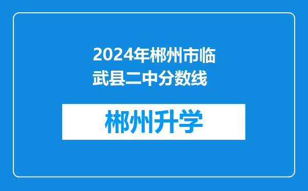 2024年郴州市临武县二中分数线