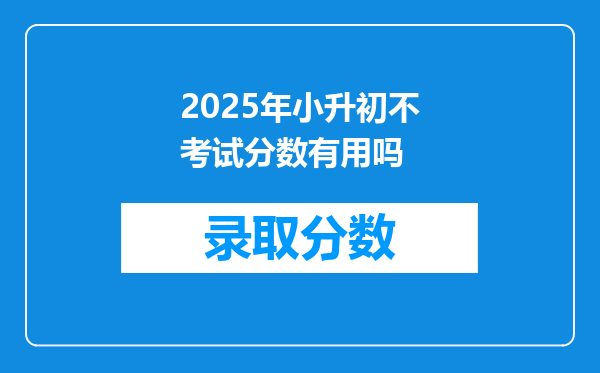 2025年小升初不考试分数有用吗