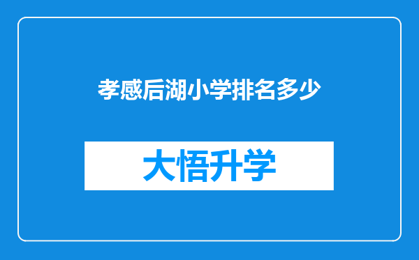 孝感后湖小学排名多少