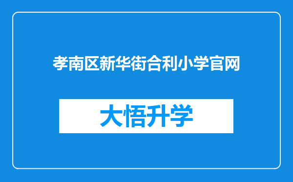 孝南区新华街合利小学官网