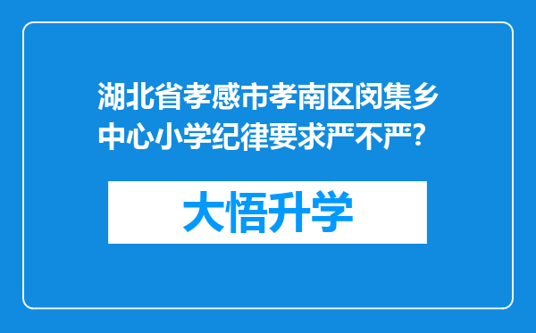 湖北省孝感市孝南区闵集乡中心小学纪律要求严不严？