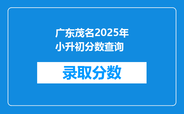 广东茂名2025年小升初分数查询