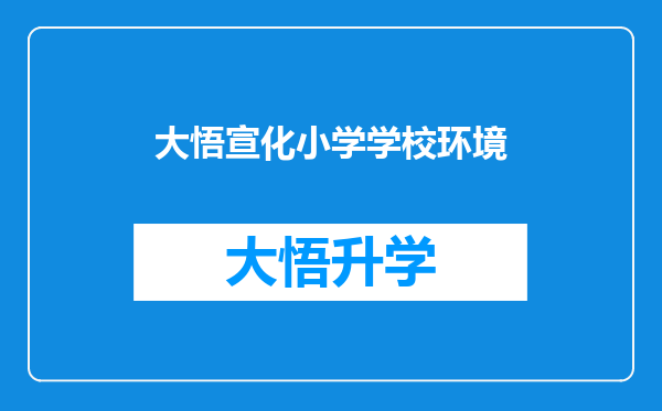 大悟宣化小学学校环境