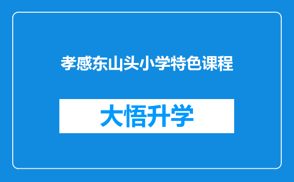 孝感东山头小学特色课程