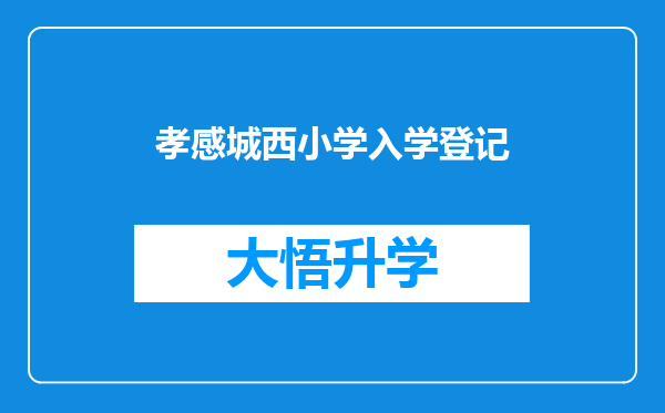 孝感城西小学入学登记