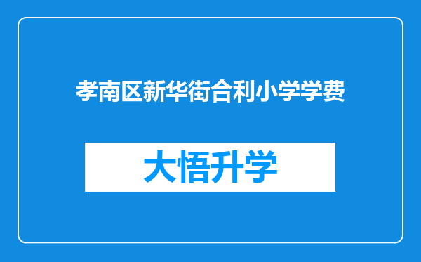 孝南区新华街合利小学学费