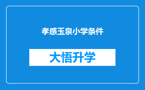 孝感玉泉小学条件