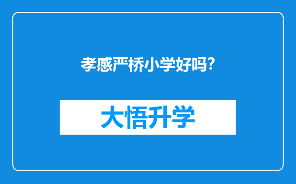 孝感严桥小学好吗？