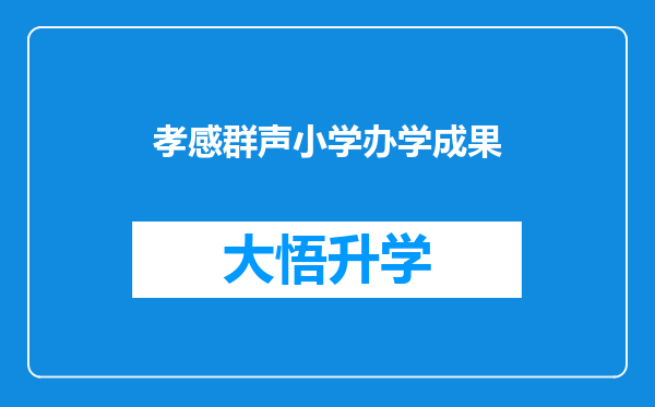 孝感群声小学办学成果