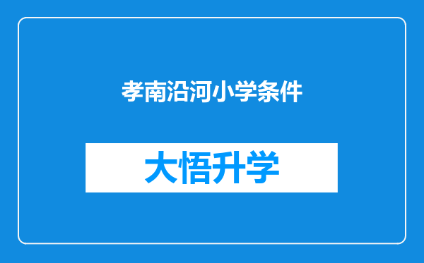 孝南沿河小学条件