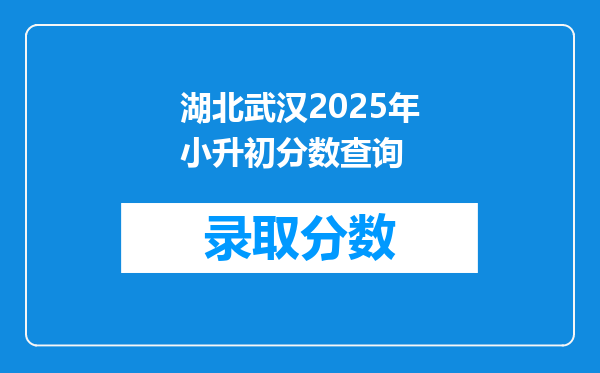 湖北武汉2025年小升初分数查询