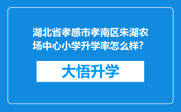 湖北省孝感市孝南区朱湖农场中心小学升学率怎么样？